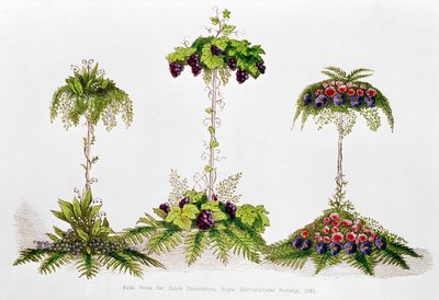 Eerste prijs voor tafeldecoratie, Royal Horticultural Society, 1851 door English School