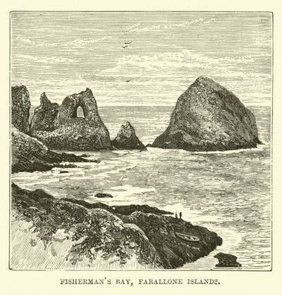 Vissersbaai, Farallone-eilanden door English School