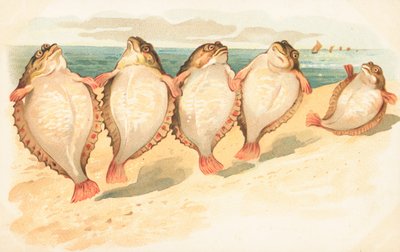 Vijf platvissen die op een strand dansen door English School