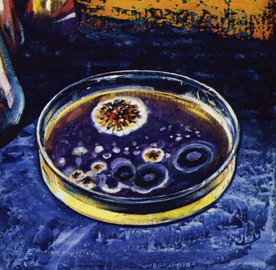 Fleming merkte op dat een schimmel nabijgelegen bacteriën had gedood door English School