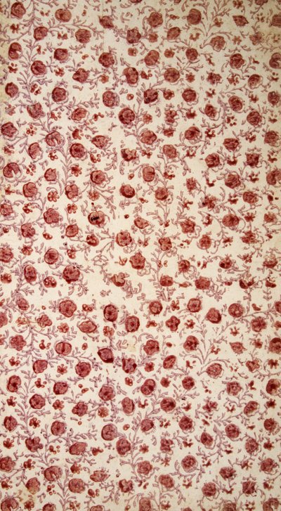 Floral Endpaper (handgekleurde gravure) door English School