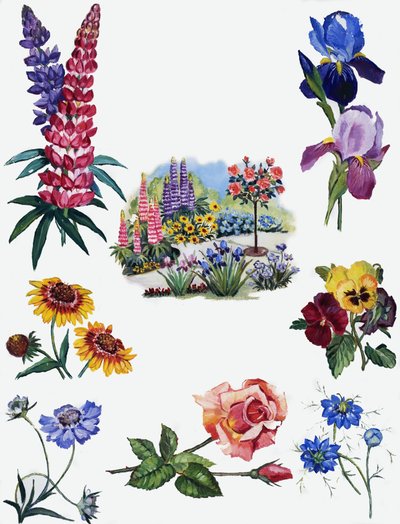 Bloemen door English School