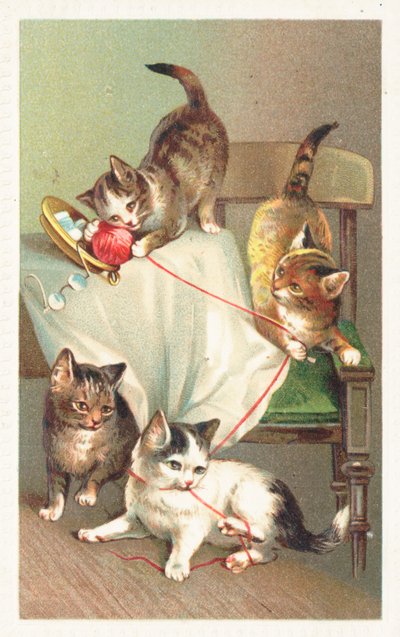 Vier katten die met een bol wol spelen door English School
