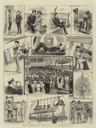 Van Bermuda naar de Kaap in een transportschip door English School