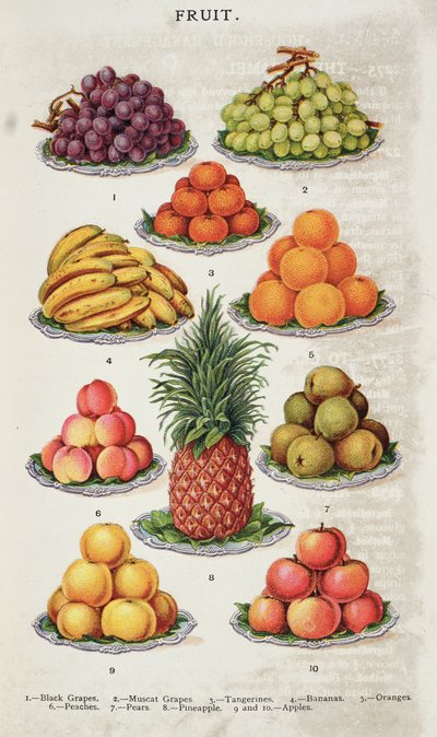 Fruit, uit 