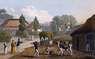 Tuin van de Tempel van Lewchew, 1820 door English School