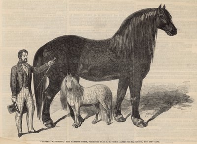 Generaal Washington, het mammoetpaard door English School