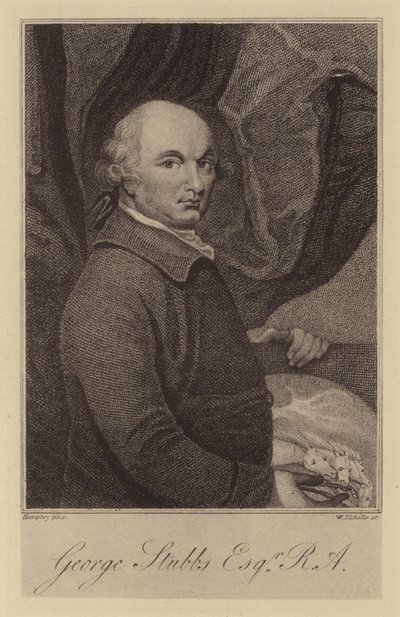 George Stubbs door English School