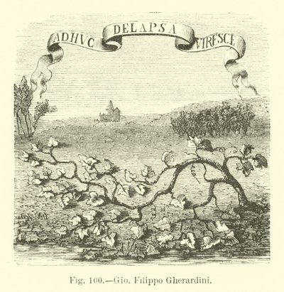 Giovanni Filippo Gherardini door English School