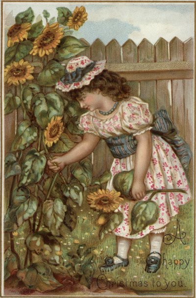 Meisje plukt zonnebloemen in een tuin door English School