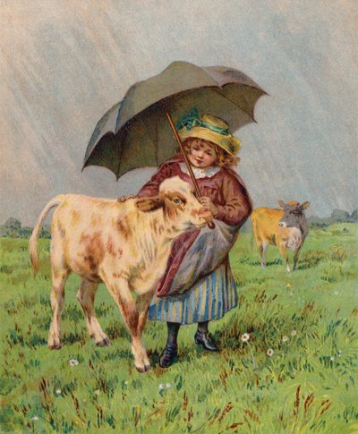 Meisje dat een kalf tegen de regen beschermt door English School