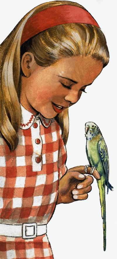 Meisje met parkiet door English School