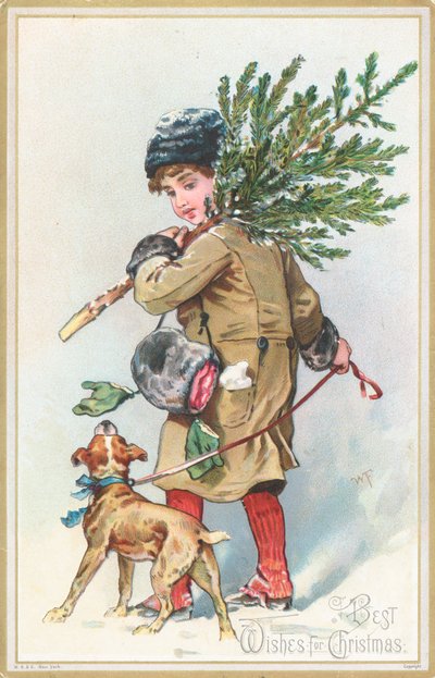 Meisje met hond die kerstboom draagt door English School