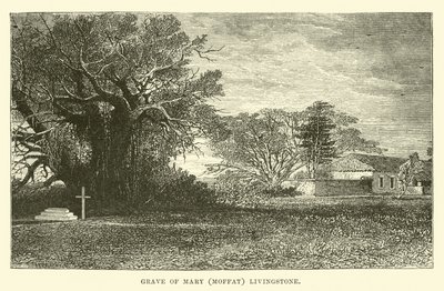 Graf van Mary (Moffat) Livingstone door English School