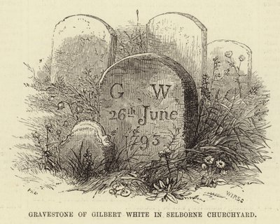Grafsteen van Gilbert White in Selborne Kerkhof door English School
