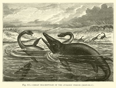 Grote zeereptielen van de Jura periode, gerestaureerd door English School