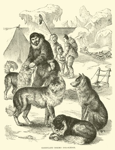 Groenlandse Eskimo hondenslee door English School