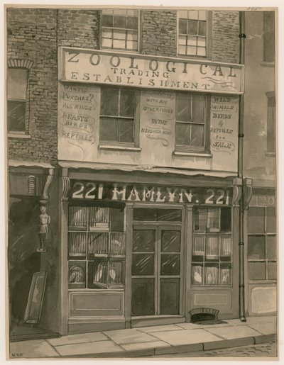 Hamlyns Zoological Trading, 221 St Georges Street, London Docks door English School