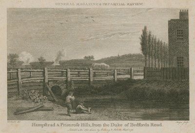 Hampstead en Primrose Hills, vanaf de weg van de hertog van Bedford door English School
