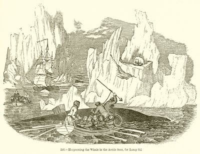 Harpoeneren van de Walvis in de Arctische Zeeën, voor Lampolie door English School