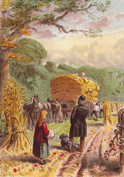 Oogsten in de velden (kleurenlitho) door English School