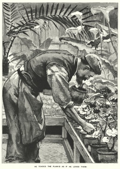 Hij verzorgde de planten alsof hij ervan hield! (gravure) door English School