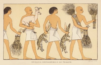 Herodotus: Graan en dieren brengen als eerbetoon door English School