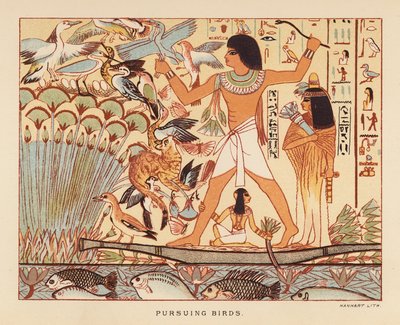 Herodotus: Vogels achterna door English School