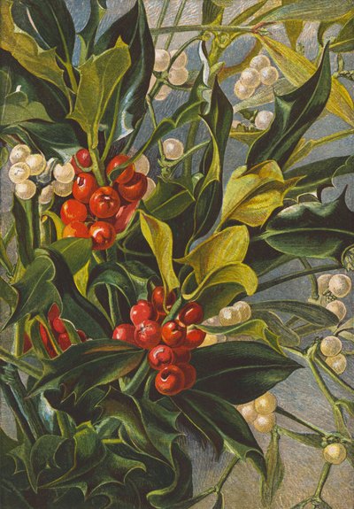 Hulst en maretak (kleurenlitho) door English School