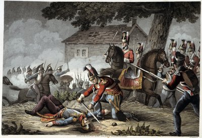 Paardenwacht op het slagveld bij Waterloo in 