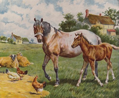 Paard en veulen, schapen en kippen door English School