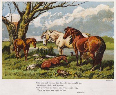 Paarden met een jong veulen aan de oever van een rivier (gekleurde gravure) door English School