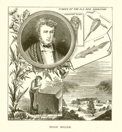 Hugh Miller door English School