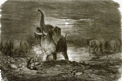 Jager en olifant door English School