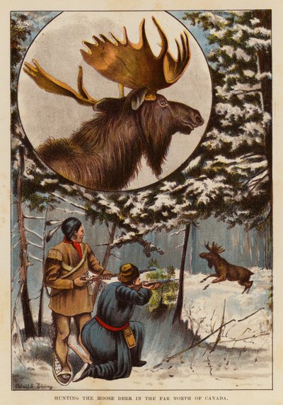 Het jagen op de eland in het verre noorden van Canada door English School
