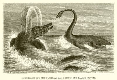 Ichthyosaurus en Plesiosaurus, Oolitisch en Liassisch systeem door English School