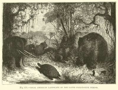 Ideaal Amerikaans landschap van de latere Pleistoceen periode door English School