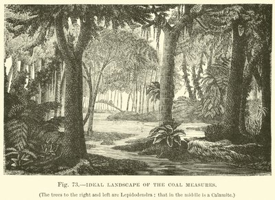 Ideaal landschap van de steenkoollagen door English School