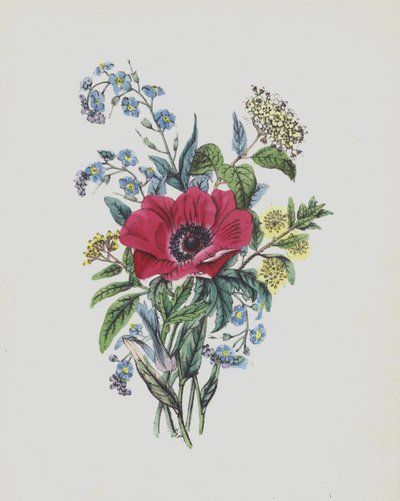 Illustratie voor Moss Rose Album door English School