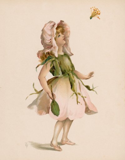Illustratie voor De Taal van Bloemen door English School