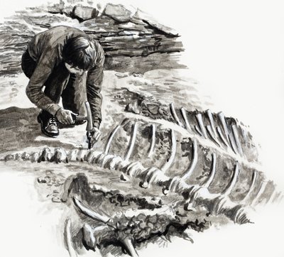 In de dagen van de dinosauriërs: Strijd der giganten door English School