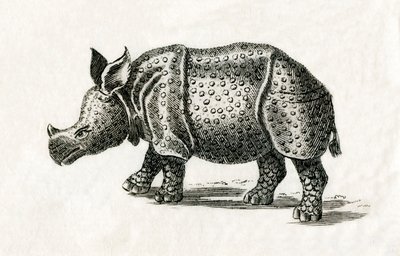 Indische neushoorn, of grote eenhoornige neushoorn, Rhinoceros unicornis, uit een 18e-eeuwse prent (gravure) door English School