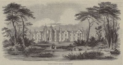 Weeshuis voor zuigelingen, Snaresbrook (gravure) door English School