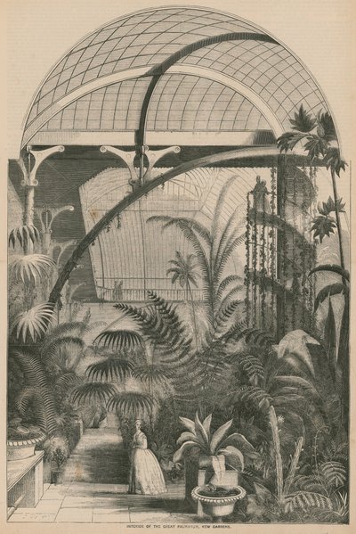 Interieur van de Grote Palmarum, Kew Gardens, Londen door English School