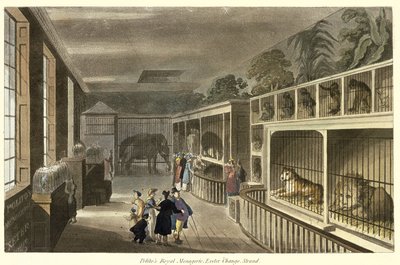 Interieurzicht van Politos Koninklijke Menagerie, Exeter Change, Strand, 1812 door English School