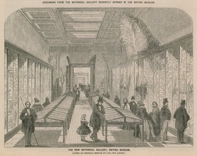 Interieur van de nieuwe Botanische Galerij door English School