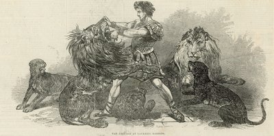 Isaac van Amburgh in Vauxhall Gardens door English School