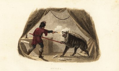 James Bruce doodt een hyena met pistool en speer in zijn tent in Maitsha, Abessinië (bij Gondar, Ethiopië) door English School