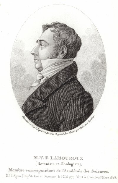 Jean Vincent Félix Lamouroux door English School