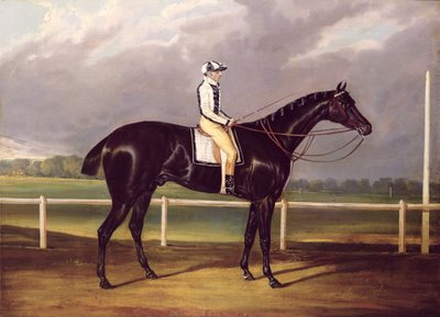 Jerry, winnaar van de St. Leger in 1824 door English School